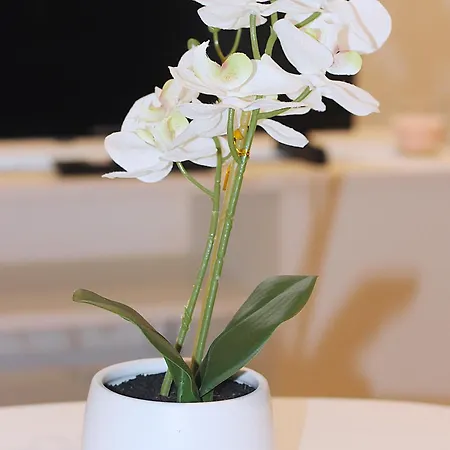 Apartmán Le Petit Barbusse, Proche Centre Avec Netflix