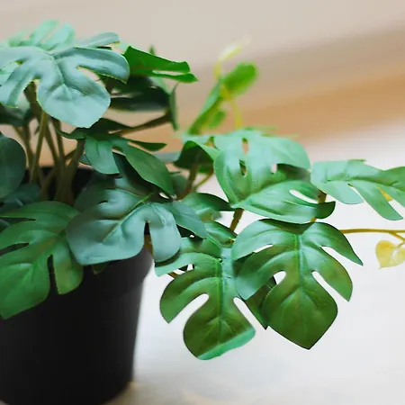 Apartmán Le Petit Barbusse, Proche Centre Avec Netflix *