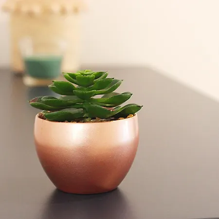 Le Petit Barbusse, Proche Centre Avec Netflix * Remeš